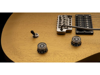 PRS SE CE24 Standard Satin Metallic Gold 2025 PRS SE CE24 Standard Satin Metallic Gold 2025